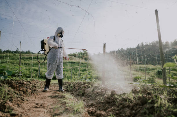 Best Pest Removal Services  in Chehalis, WA