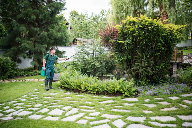 Best Local Pest Control Services  in Chehalis, WA