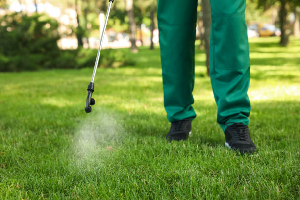 Best Emergency Pest Control  in Chehalis, WA