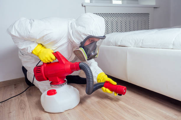 Best Affordable Pest Control Services  in Chehalis, WA